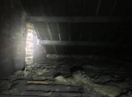loft 2 Pinnacle Builders